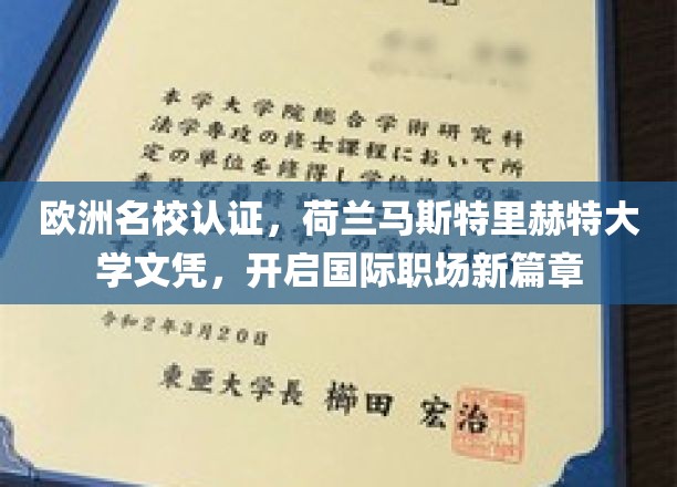 欧洲名校认证，荷兰马斯特里赫特大学文凭，开启国际职场新篇章