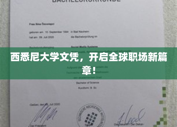 西悉尼大学文凭，助你驰骋国际职场舞台