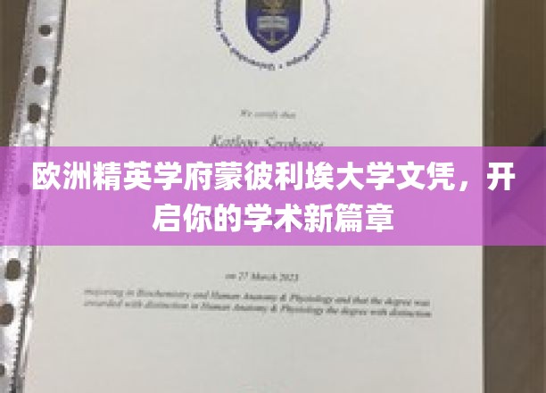 解锁欧洲学术殿堂，蒙彼利埃大学文凭，成就非凡未来