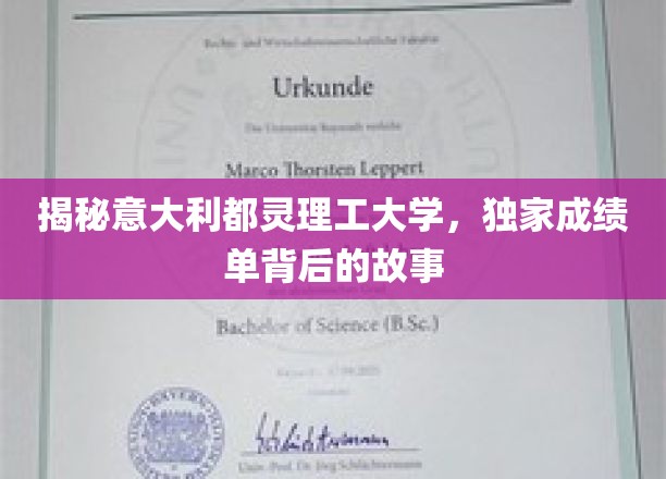 揭秘意大利都灵理工大学，探寻独家成绩单背后的故事