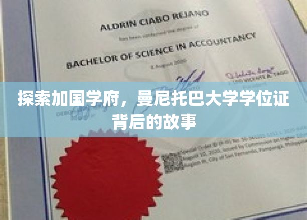 揭开曼大文凭背后的学术传奇与本土智慧