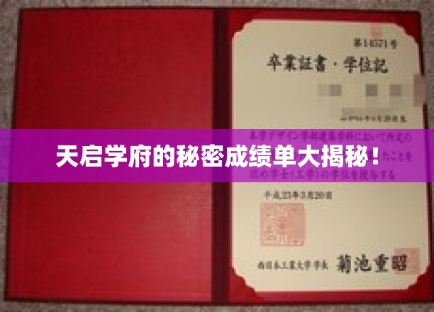 天启学府，隐藏成绩单背后的惊人真相