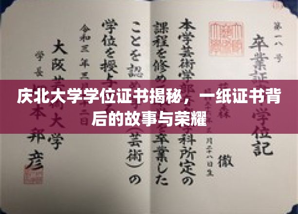 庆北传奇，一纸学位证书背后的荣耀与传奇故事