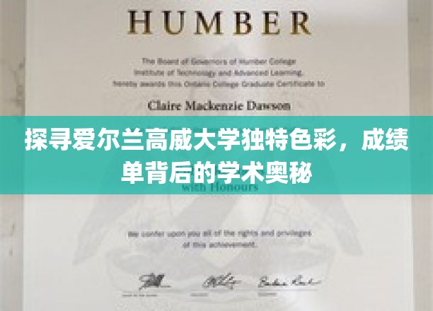 探寻爱尔兰高威大学独特色彩，成绩单背后的学术奥秘