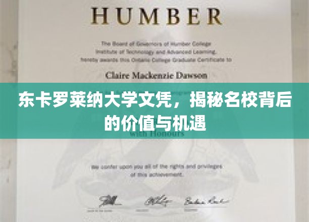 东卡罗莱纳大学文凭，揭秘名校背后的价值与机遇