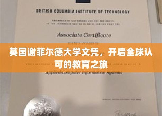 跨国学历通行证，谢菲尔德大学文凭引领国际教育新篇章