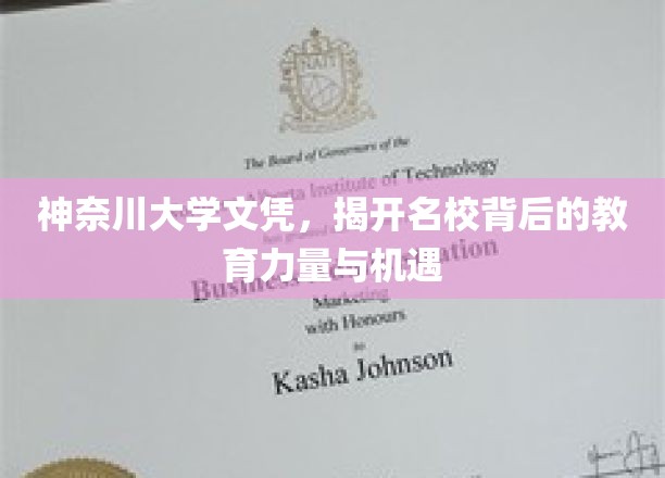 解码神奈川大学，名校光环背后的教育奇迹与无限可能