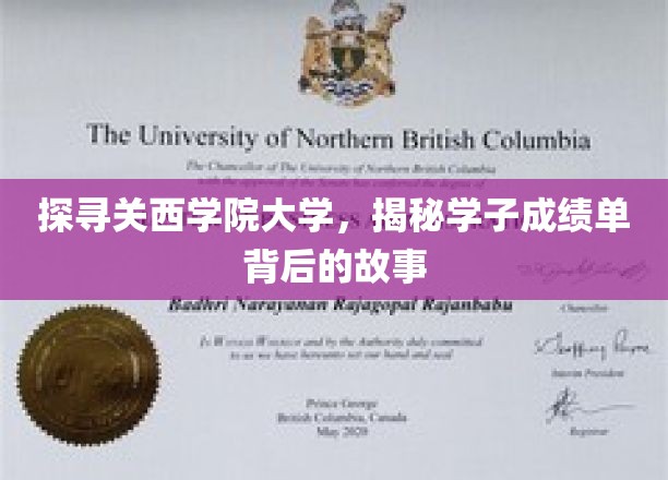 探秘关西学院大学，揭开学子成绩单背后的故事