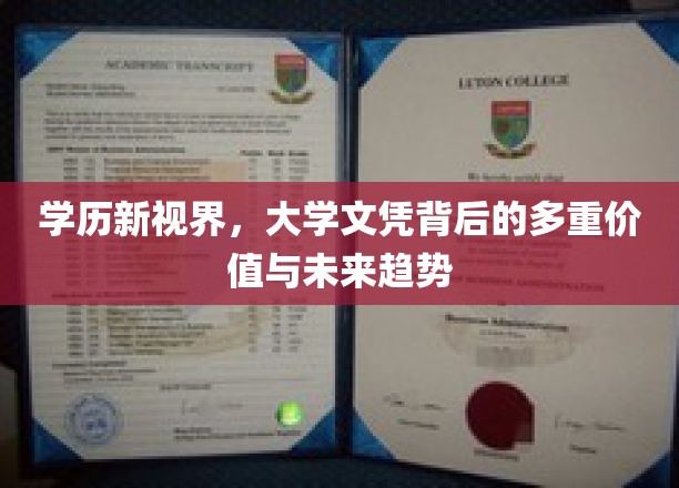 学历新视界，大学文凭背后的多重价值与未来趋势