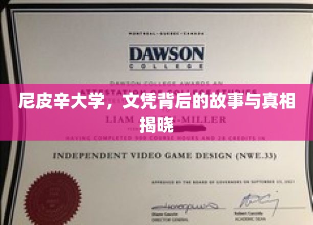 尼皮辛大学文凭之谜，揭秘背后的真实面纱
