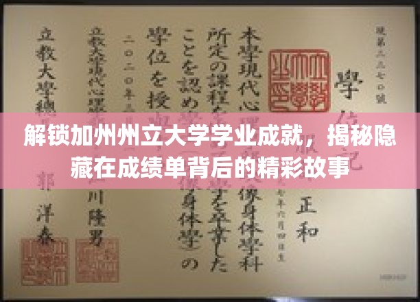 加州州立大学学霸养成记，探寻成绩单背后的成长轨迹