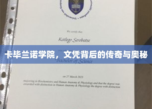 卡毕兰诺文凭，探寻传奇学府的神秘魅力