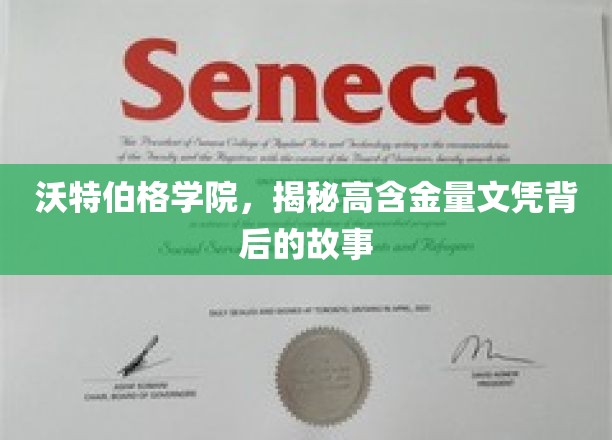 沃特伯格学院，揭秘高含金量文凭背后的传奇历程