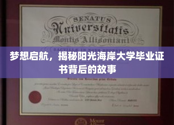 阳光海岸大学证书背后的奇遇，揭秘青春梦想的起航之旅