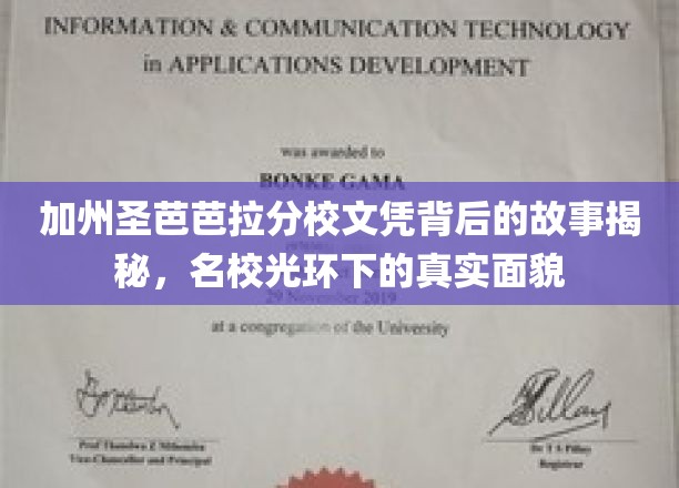加州圣芭芭拉分校文凭背后的故事揭秘，名校光环下的真实面貌