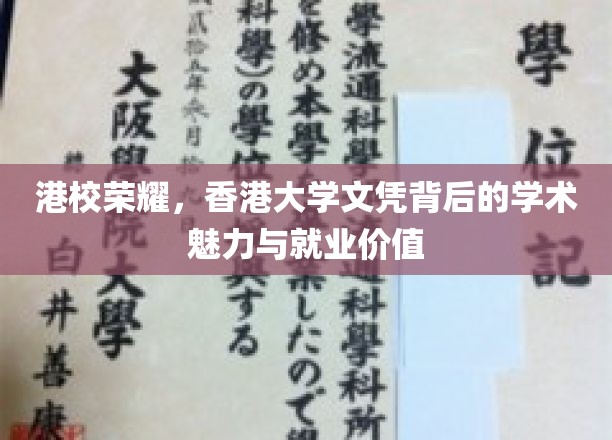 港校璀璨，香港大学学位的学术光芒与职场辉煌