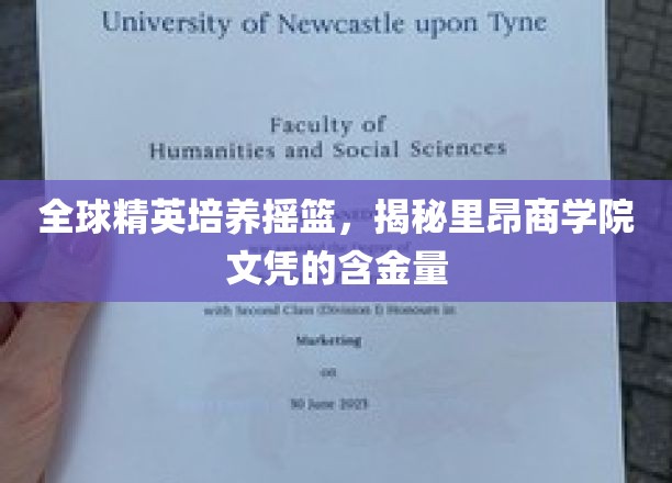 里昂商学院，精英汇聚的摇篮，解码国际认可的文凭价值
