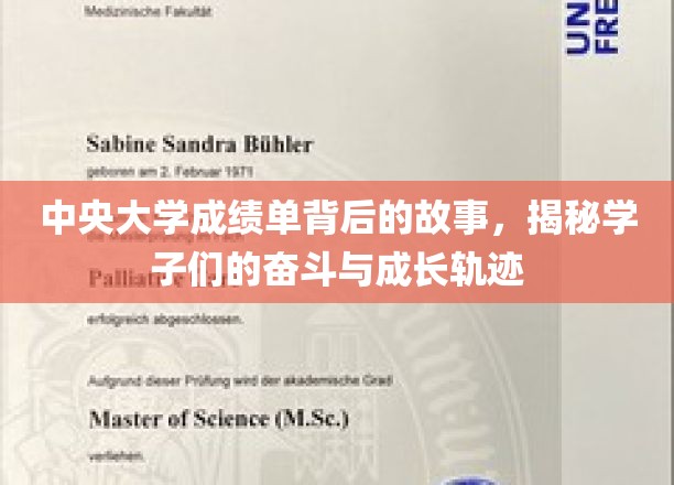 中央大学成绩单，学子奋斗足迹，见证青春蜕变