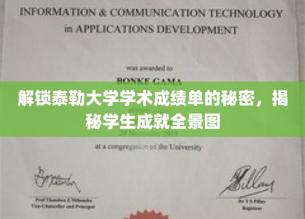 泰勒大学成绩单探秘，一窥学子成就全貌
