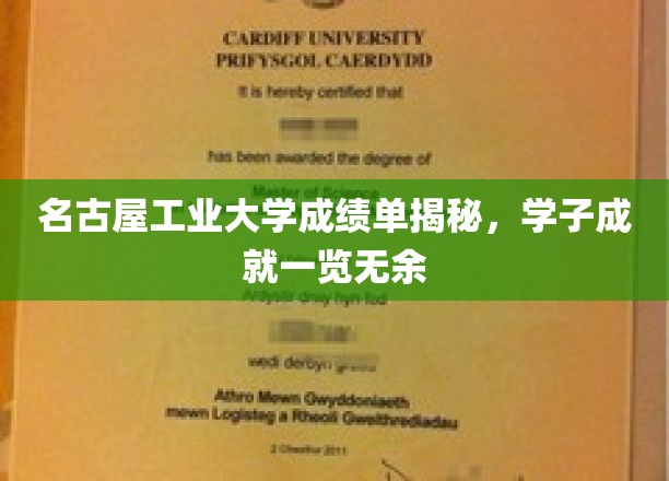 名古屋工业大学学子风采，成绩单背后的辉煌成就