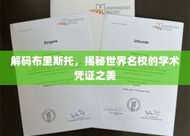 探寻布里斯托大学，学术瑰宝的神秘面纱