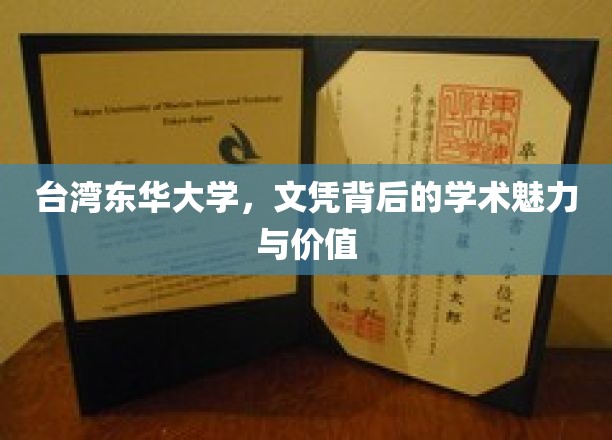 解码东华，台湾顶尖学府的学术魅力与文凭价值