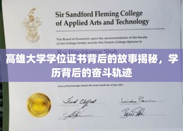 高雄学子奋斗足迹，学位证书背后的励志传奇
