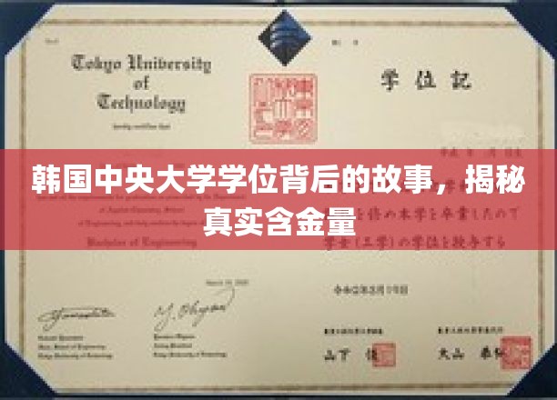 解码韩国中央大学学位，探寻其背后的非凡价值