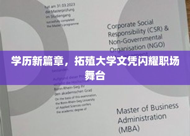 学历革新潮，拓殖大学文凭照亮职场未来舞台