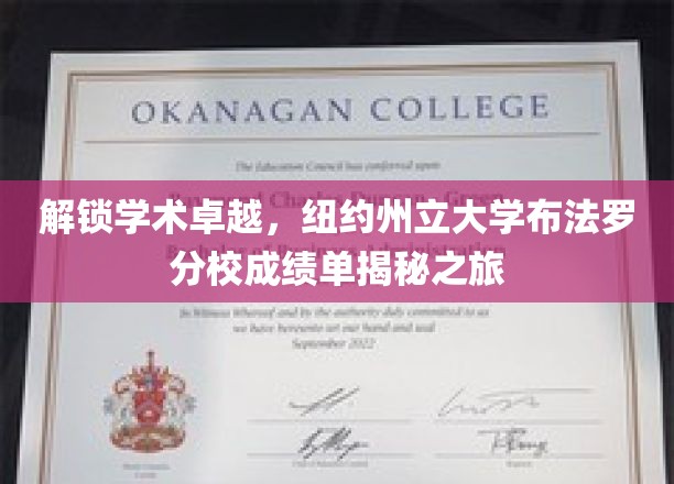 探索学术巅峰，纽约州立大学布法罗分校成绩单背后的故事
