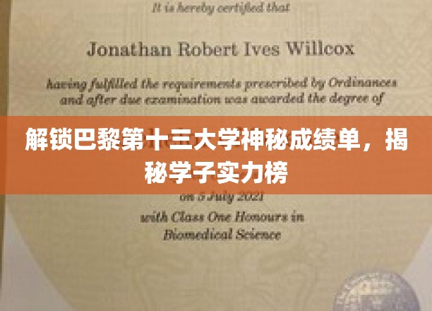揭秘巴黎第十三大学神秘成绩单，展现学子实力榜