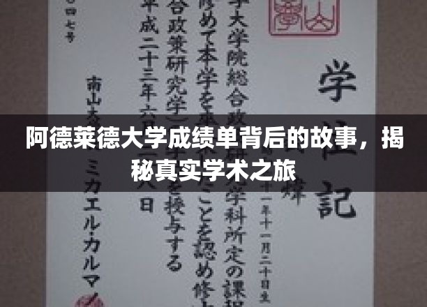 阿德莱德大学成绩单背后的故事，揭秘真实学术之旅