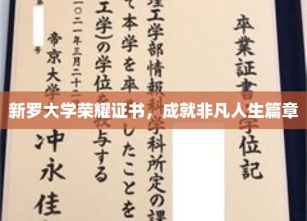 新罗荣耀见证，谱写非凡人生新篇章