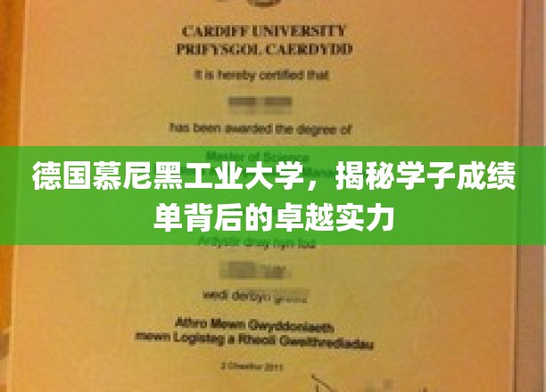 慕尼黑工业大学学子实力揭秘，成绩单背后的卓越风采