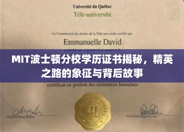 MIT波士顿精英证照，解码顶尖学府的荣耀与传奇