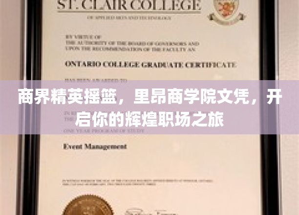 驾驭商界巅峰，里昂商学院学位助你开启璀璨职业生涯
