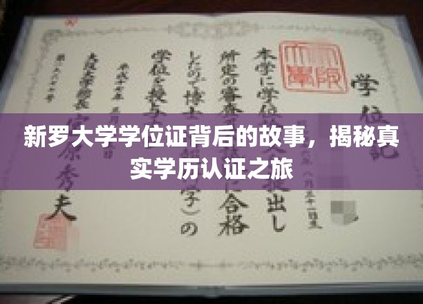 揭开新罗大学学位证之谜，一场学历认证的深度探秘之旅