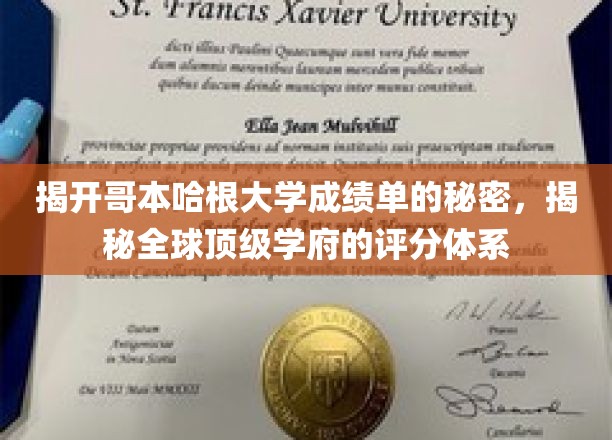 哥本哈根大学成绩单背后的评分奥秘大揭秘