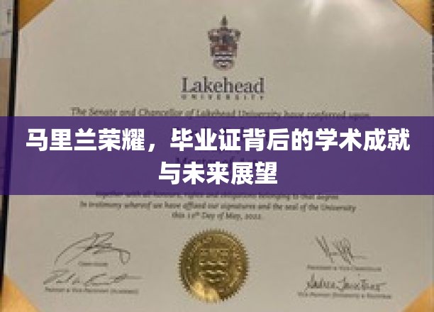 马里兰荣耀，毕业证背后的学术成就与未来展望