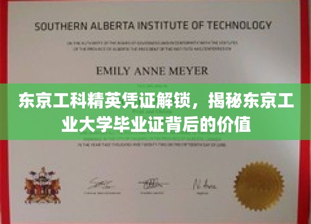 解码东京工业大学毕业证，揭秘东京工科精英的黄金通行证