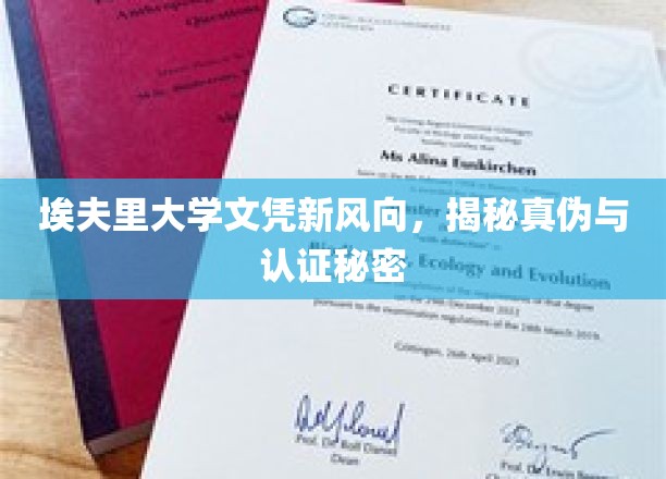 埃夫里大学文凭风云，揭秘认证背后的真相与挑战