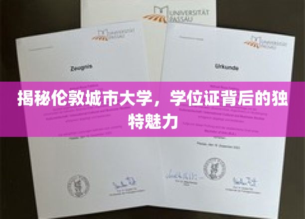 伦敦城市大学学位证，探寻其背后的非凡价值