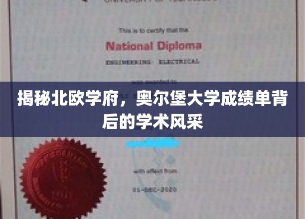 探寻奥尔堡大学，揭开北欧学府的学术魅力面纱