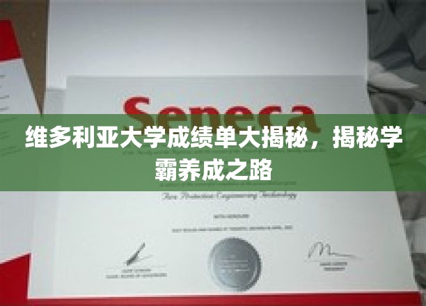 维大学霸养成记，揭秘维多利亚大学成绩单背后的秘密