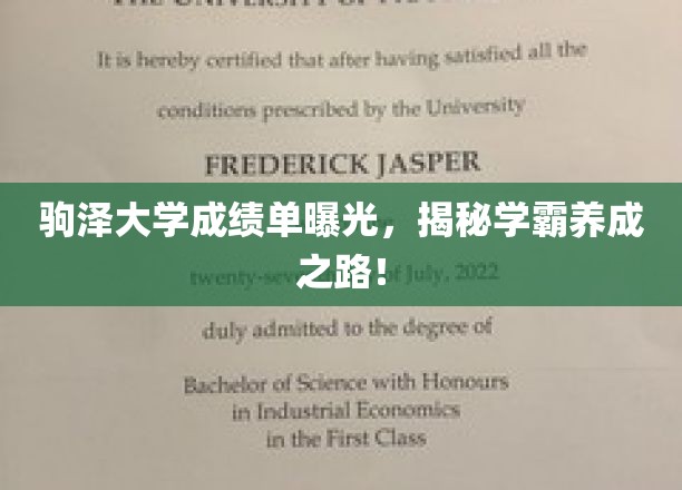 揭秘驹泽学霸秘籍，成绩单背后的逆袭传奇