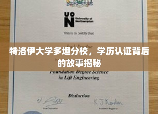 特洛伊大学多坦分校，学历认证背后的故事揭秘