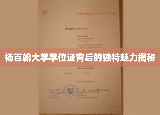 杨百翰大学学位证，探寻其独特魅力的神秘面纱