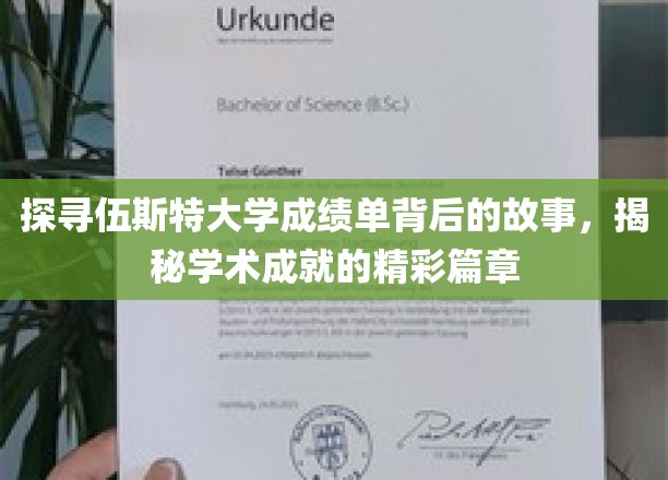 探寻伍斯特大学成绩单背后的故事，揭秘学术成就的精彩篇章