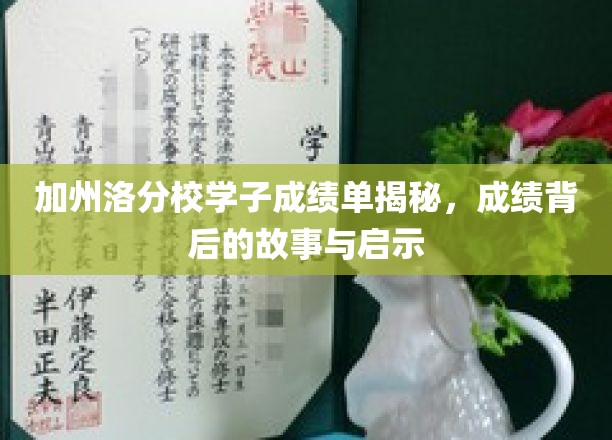 加州洛分校学霸养成记，揭开成绩背后的传奇与智慧