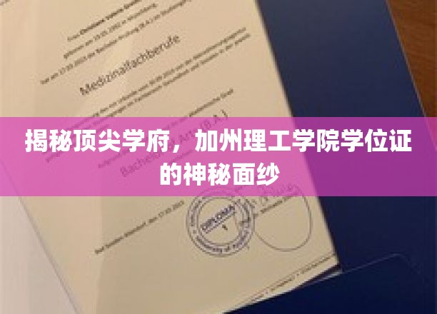 解码加州理工学院，学位证的非凡内涵与传奇故事